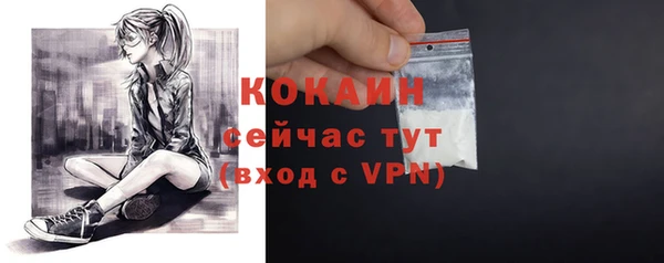 амф Магас