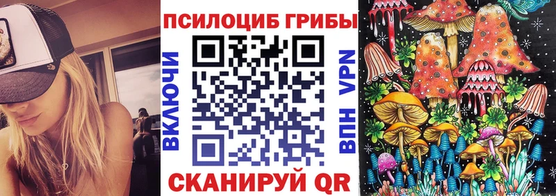 Галлюциногенные грибы Magic Shrooms цены наркотик Черняховск
