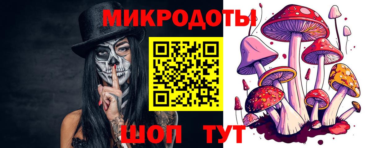 Псилоцибиновые грибы MAGIC MUSHROOMS Черняховск